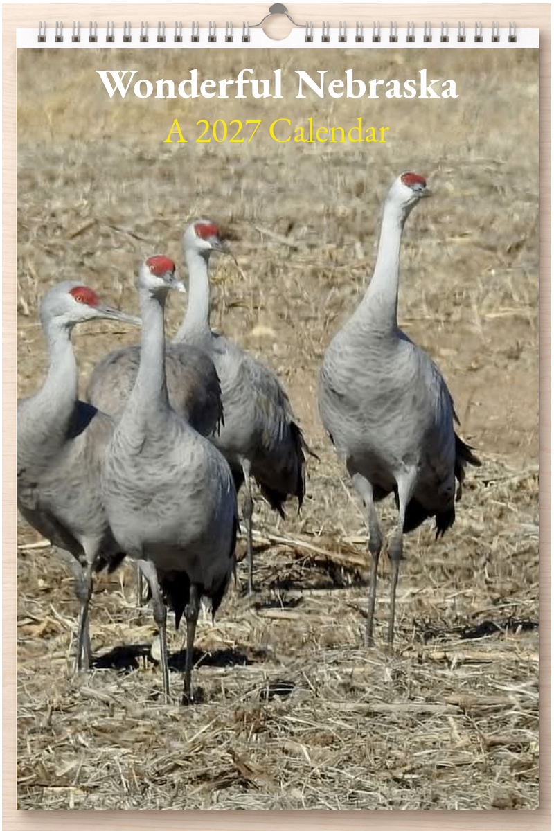 Wonderful Nebraska: A 2027 Calendar