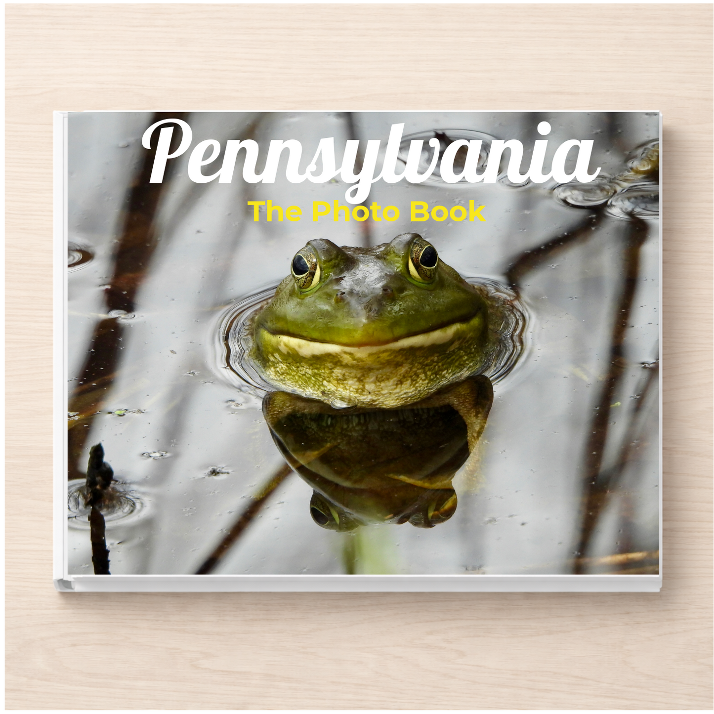 Pennsylvania: The Photo Book
