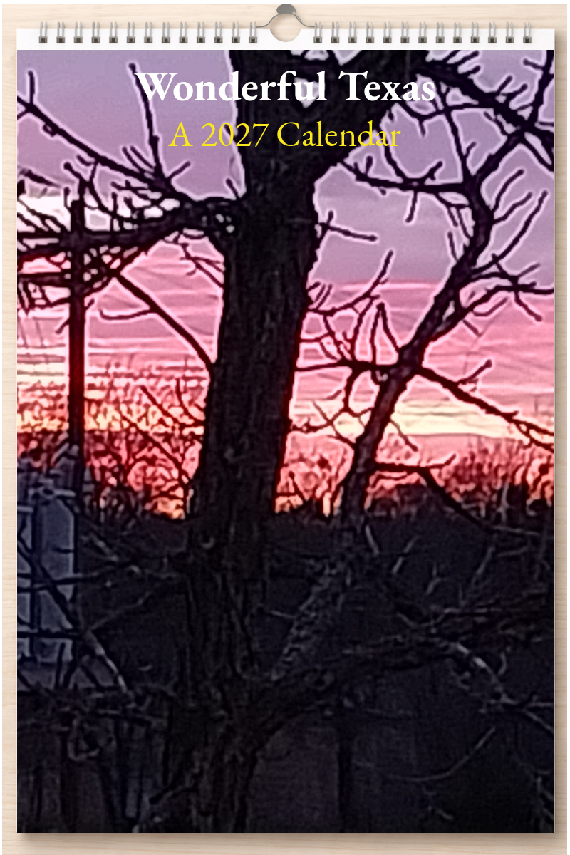 Wonderful Texas: A 2027 Calendar
