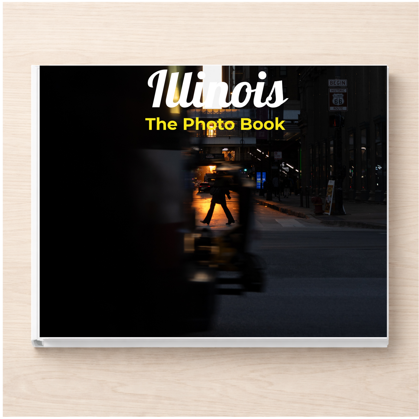 Illinois: The Photo Book