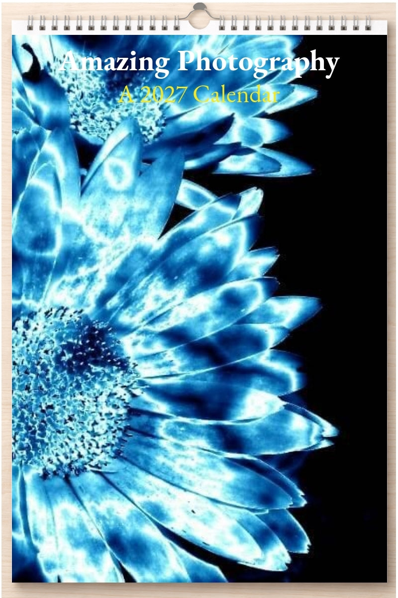 Amazing Photography: A 2027 Calendar
