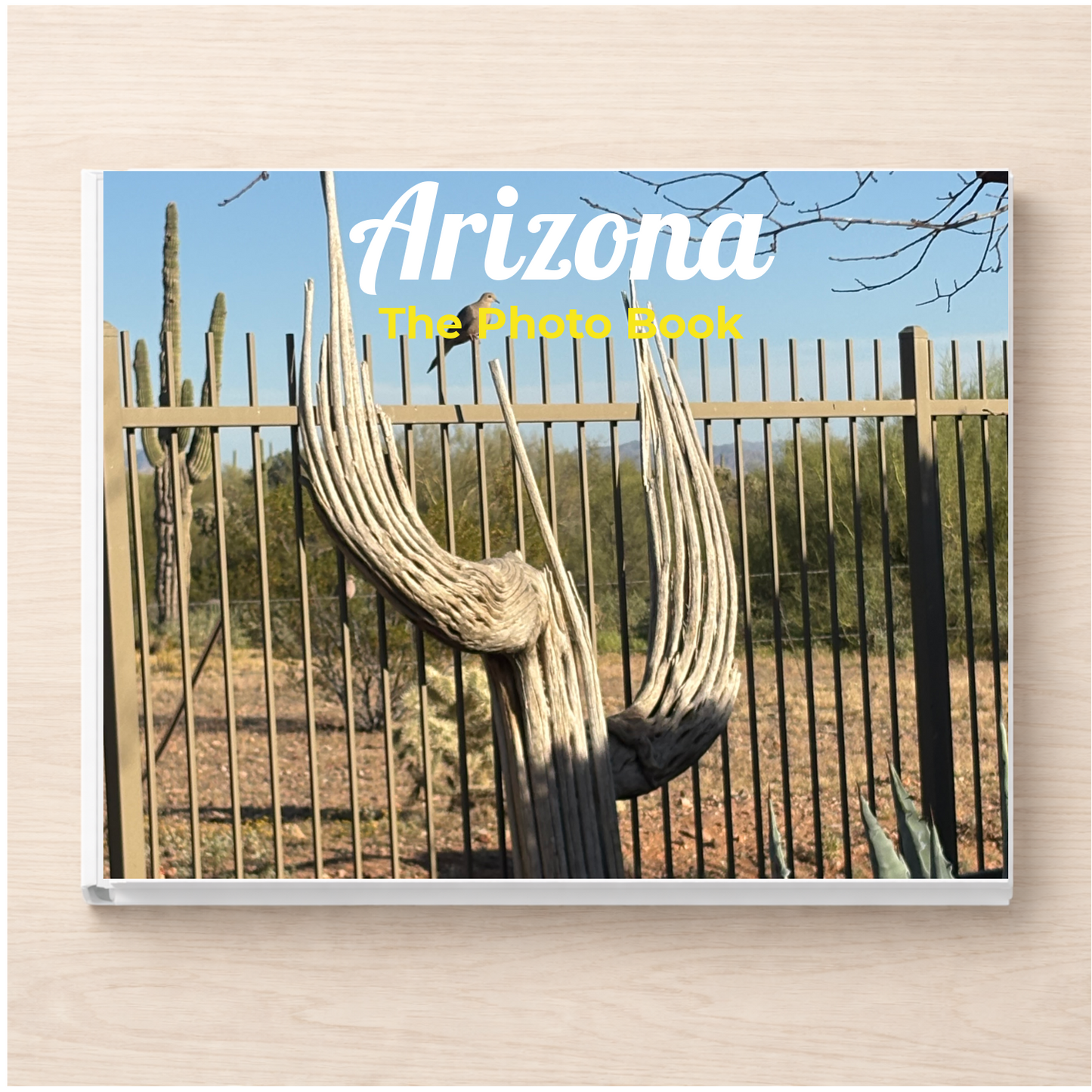 Arizona: The Photo Book