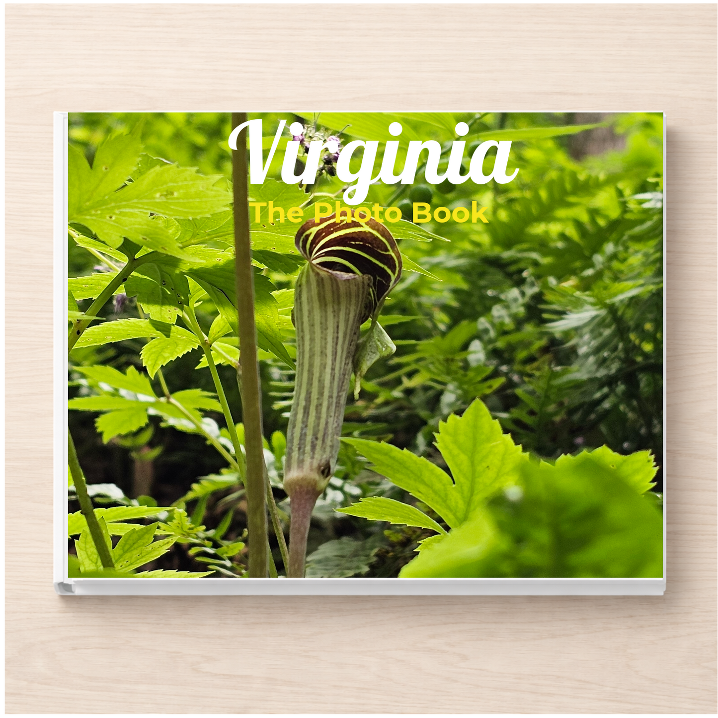 Virginia: The Photo Book
