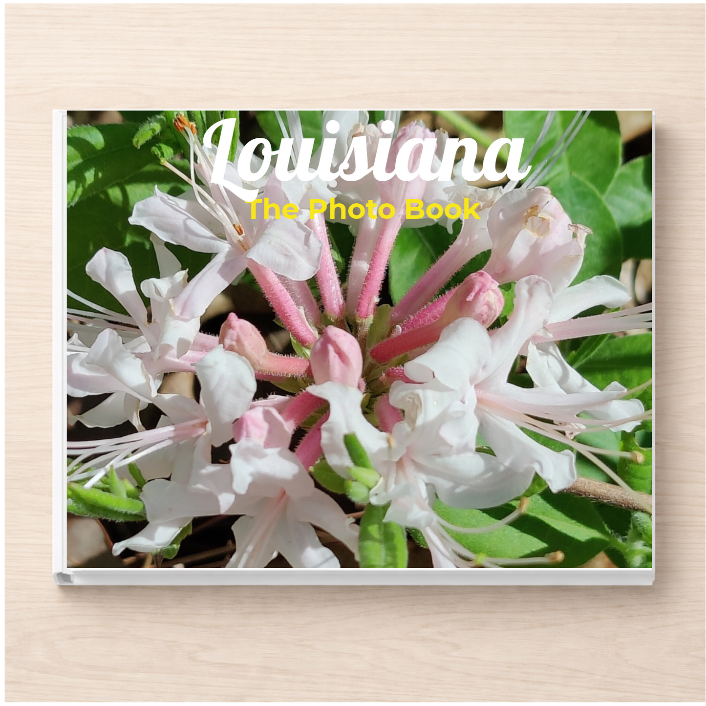 Louisiana: The Photo Book