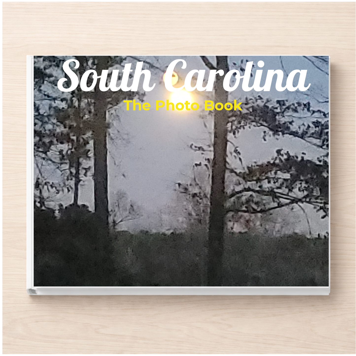 South Carolina: The Photo Book