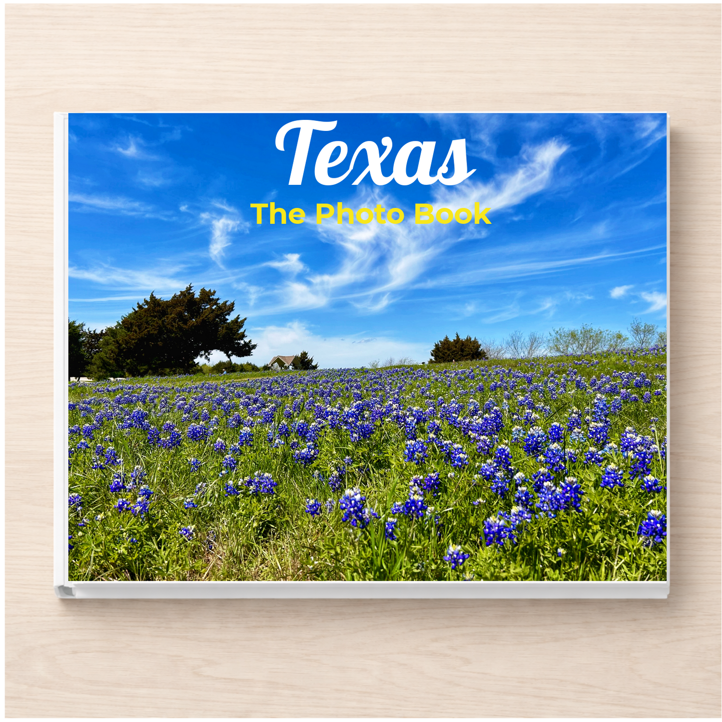 Texas: The Photo Book