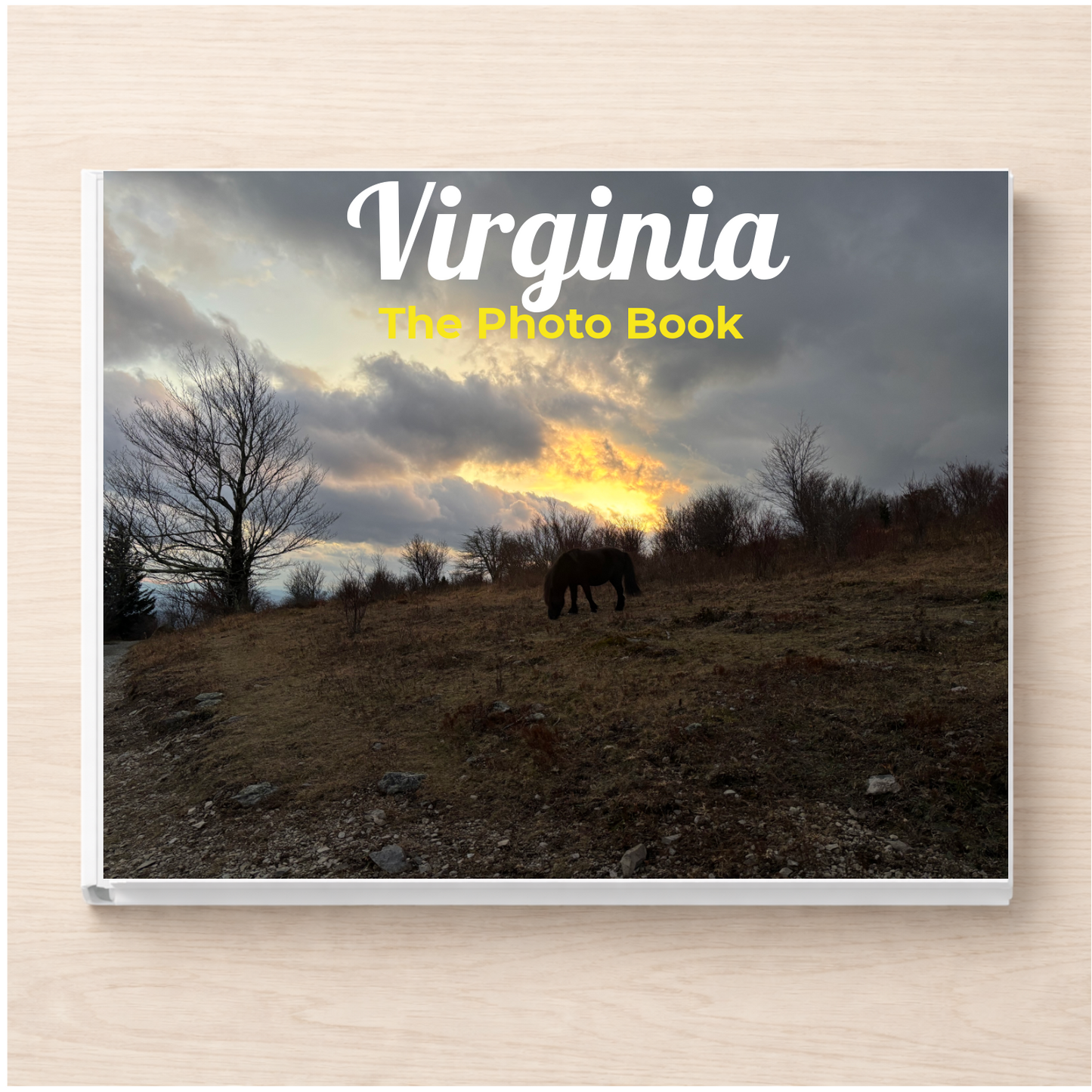 Virginia: The Photo Book