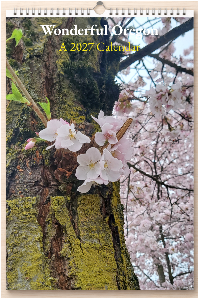 Wonderful Oregon: A 2027 Calendar