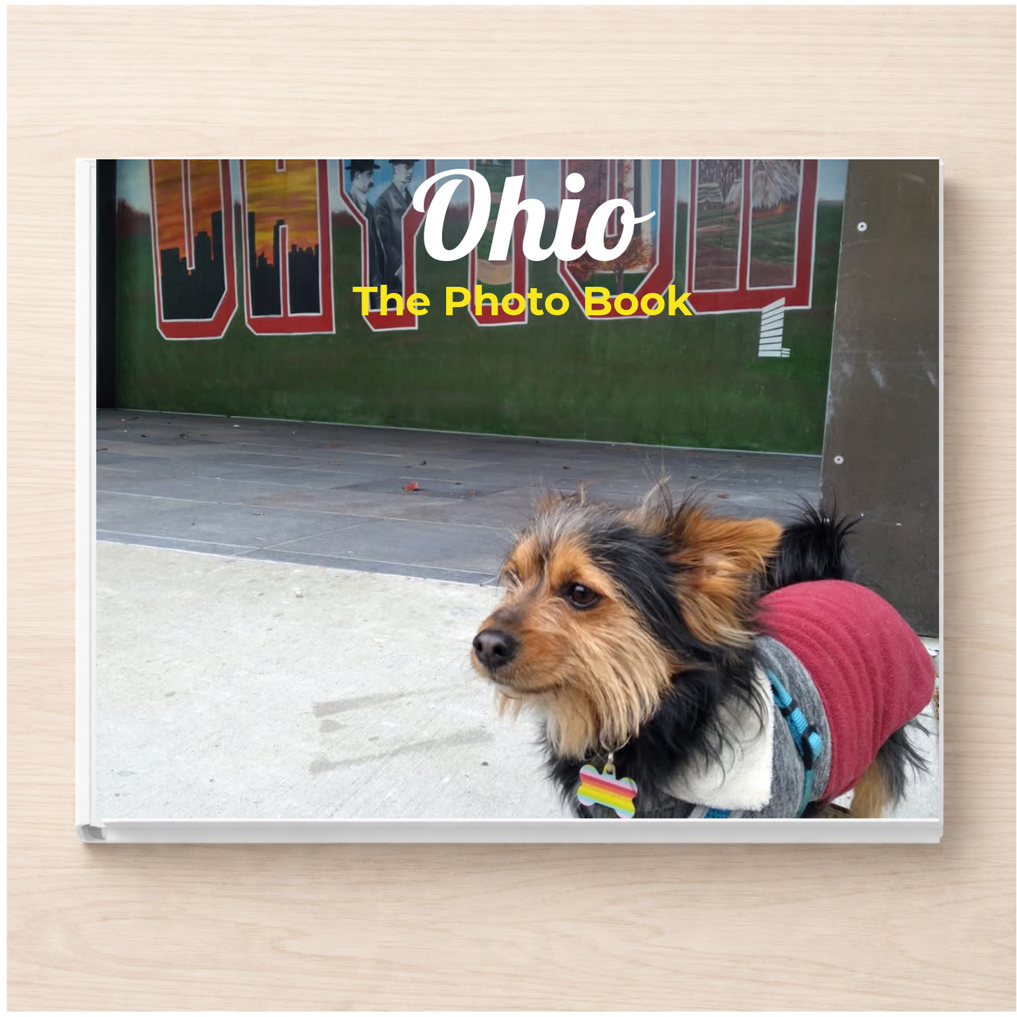 Ohio: The Photo Book