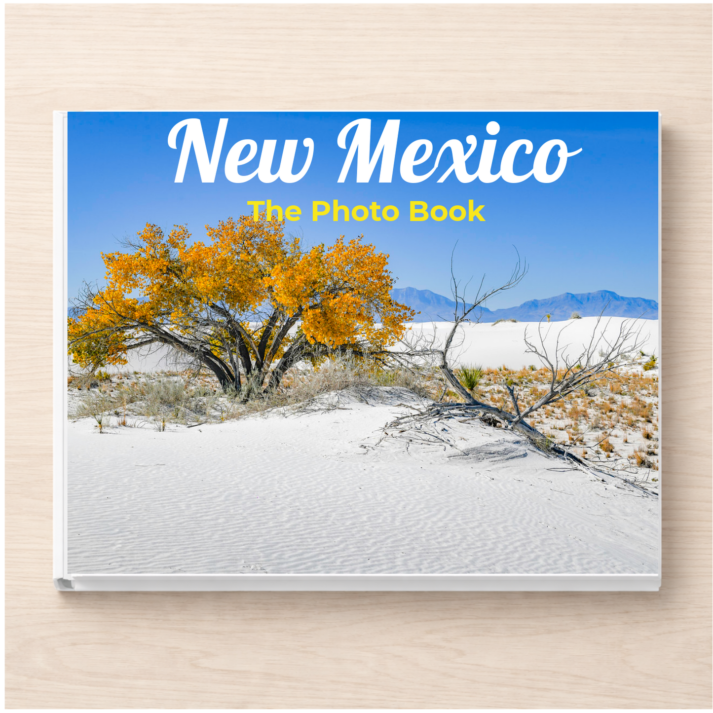 New Mexico: The Photo Book
