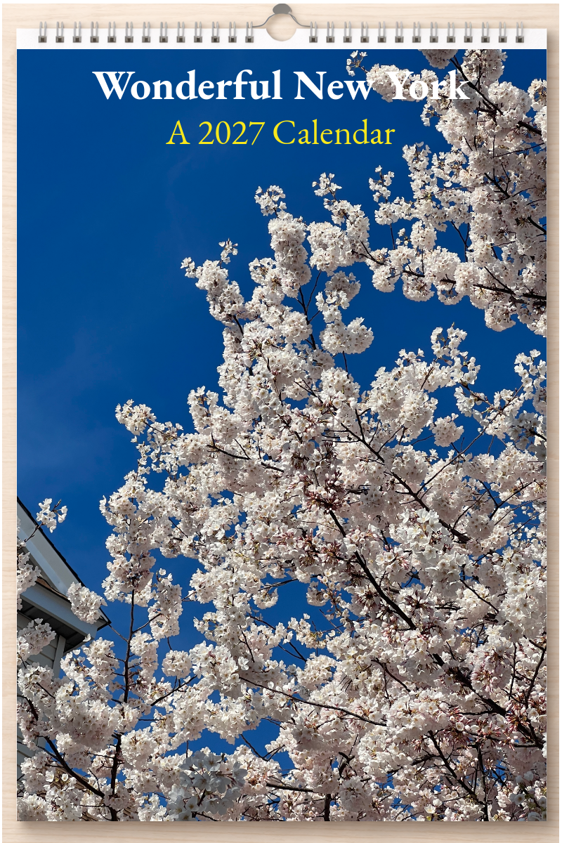 Wonderful New York: A 2027 Calendar