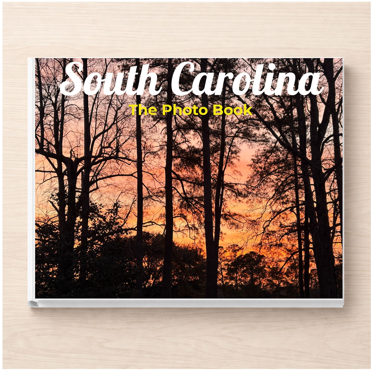 South Carolina: The Photo Book