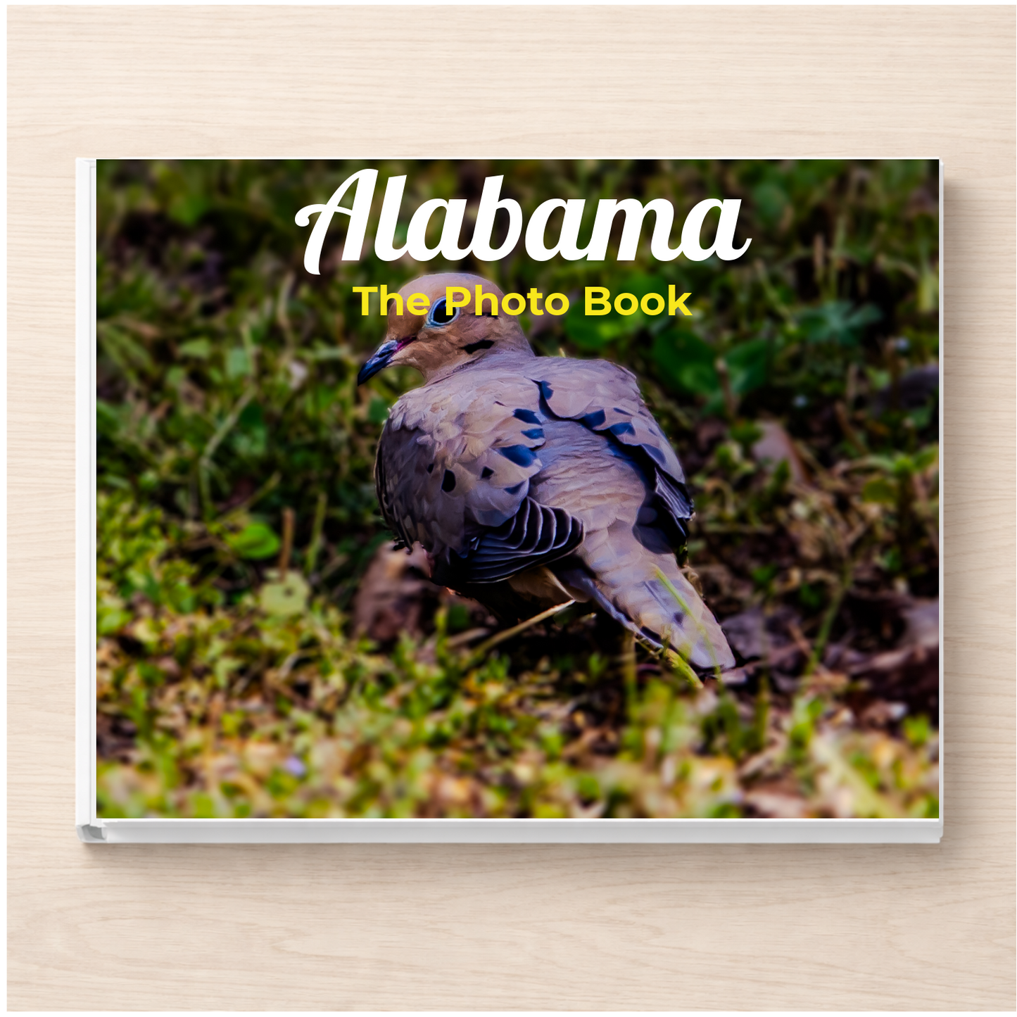 Alabama: The Photo Book