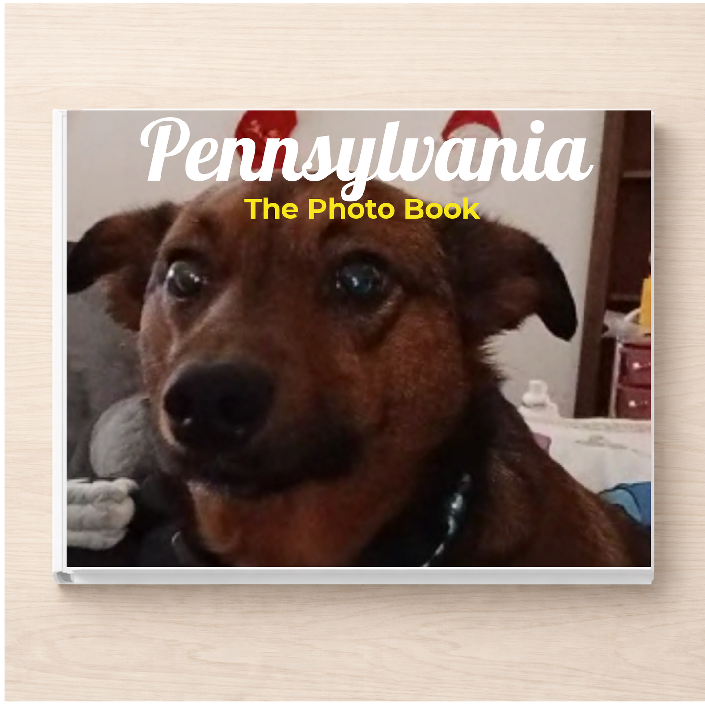 Pennsylvania: The Photo Book