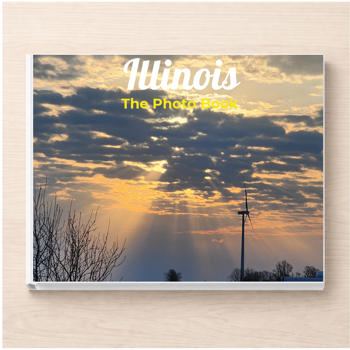 Illinois: The Photo Book