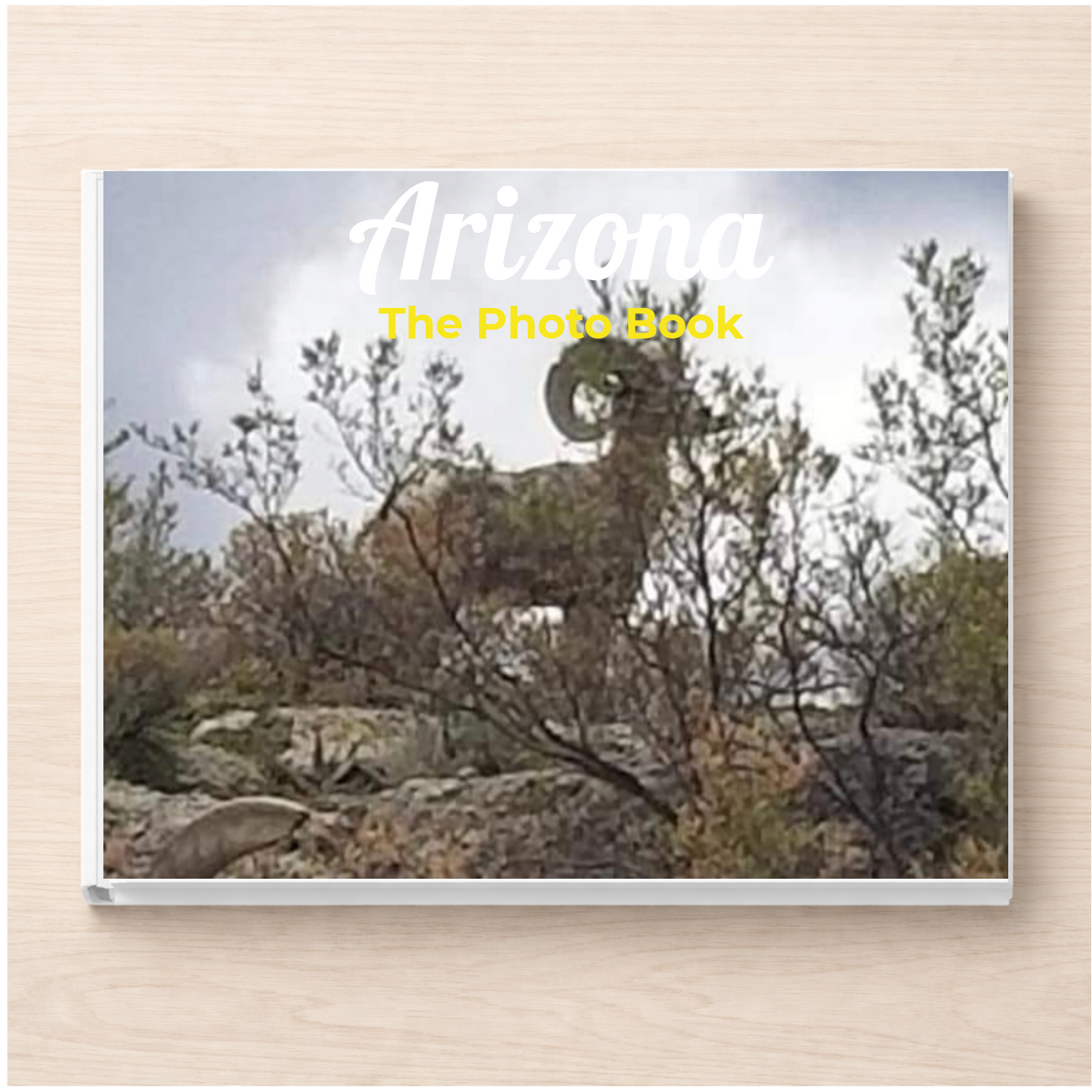 Arizona: The Photo Book