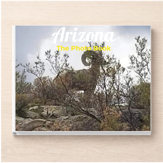 Arizona: The Photo Book