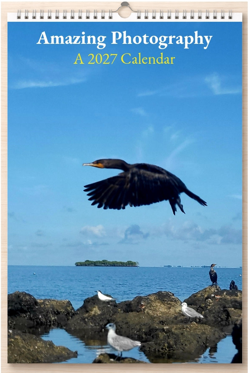 Amazing Photography: A 2027 Calendar