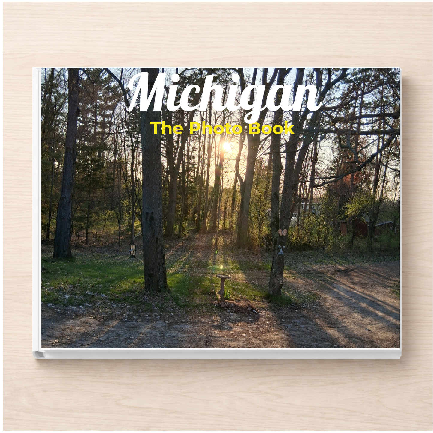 Michigan: The Photo Book