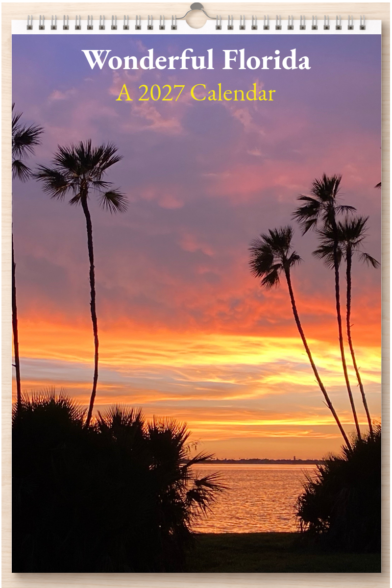 Wonderful Florida: A 2027 Calendar