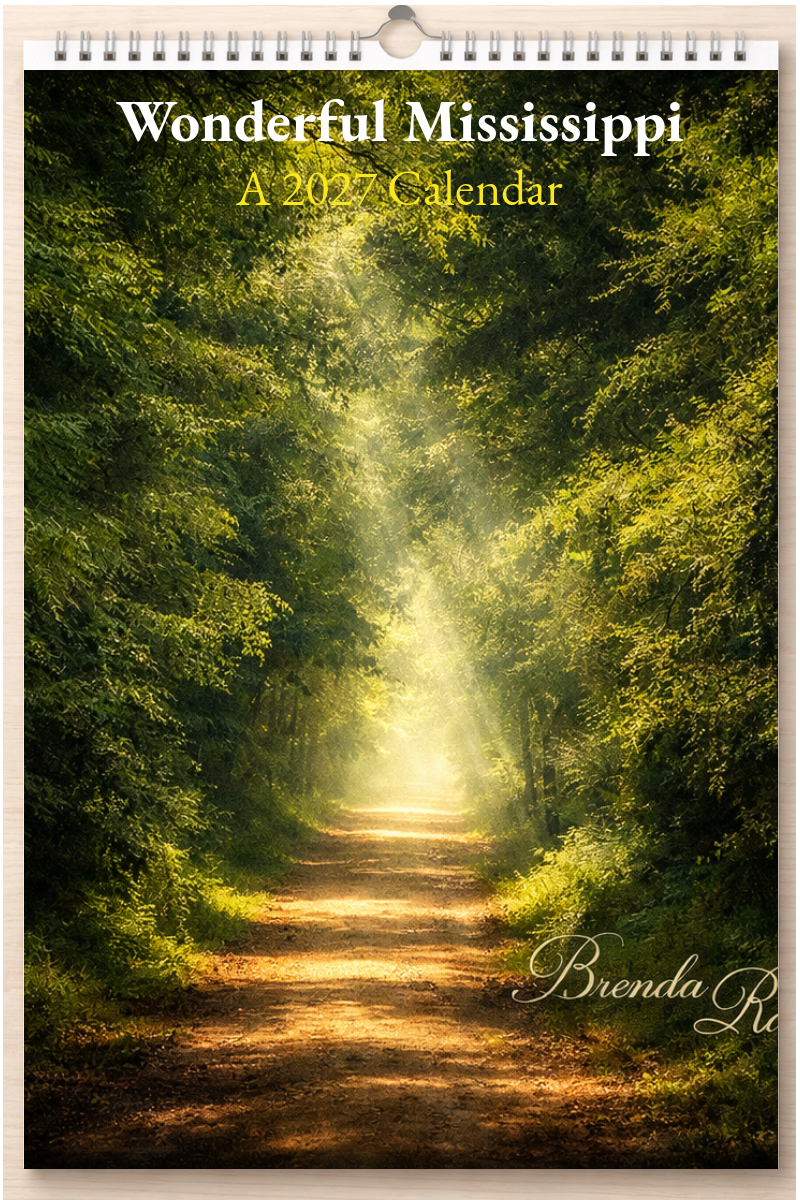 Wonderful Mississippi: A 2027 Calendar