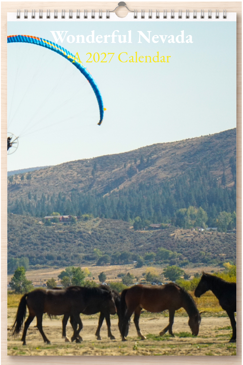 Wonderful Nevada: A 2027 Calendar