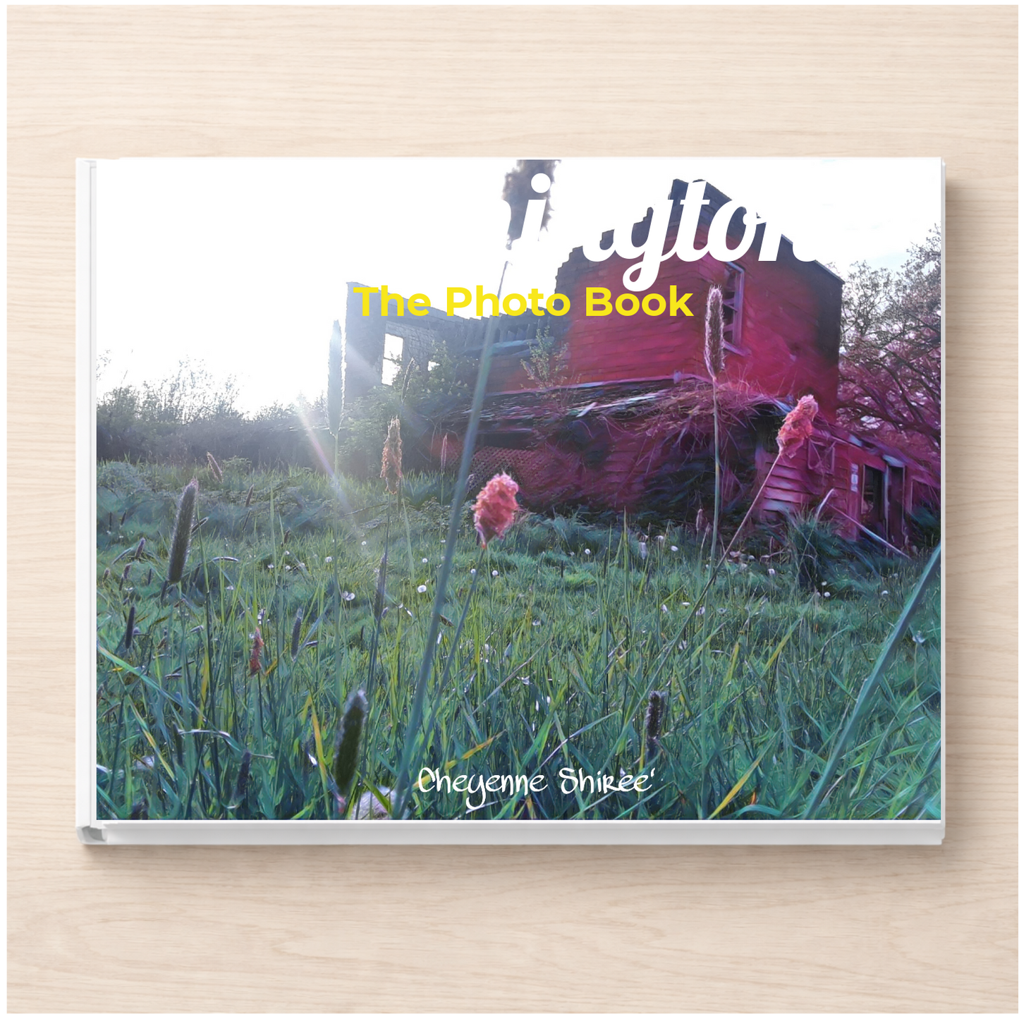 Washington: The Photo Book