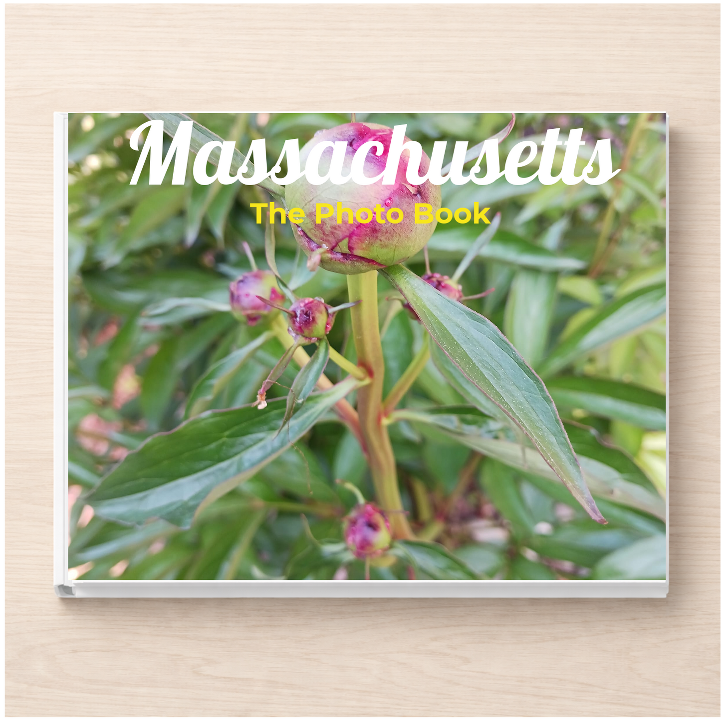 Massachusetts: The Photo Book