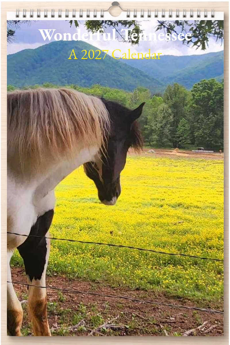 Wonderful Tennessee: A 2027 Calendar