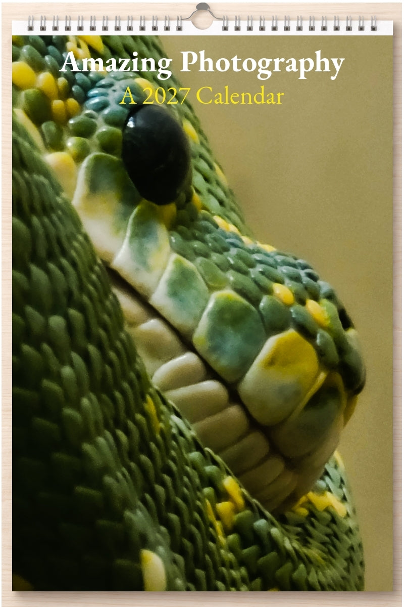 Amazing Photography: A 2027 Calendar