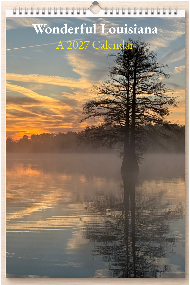 Wonderful Louisiana: A 2027 Calendar