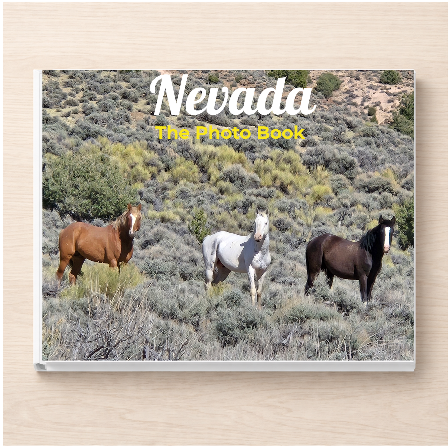 Nevada: The Photo Book