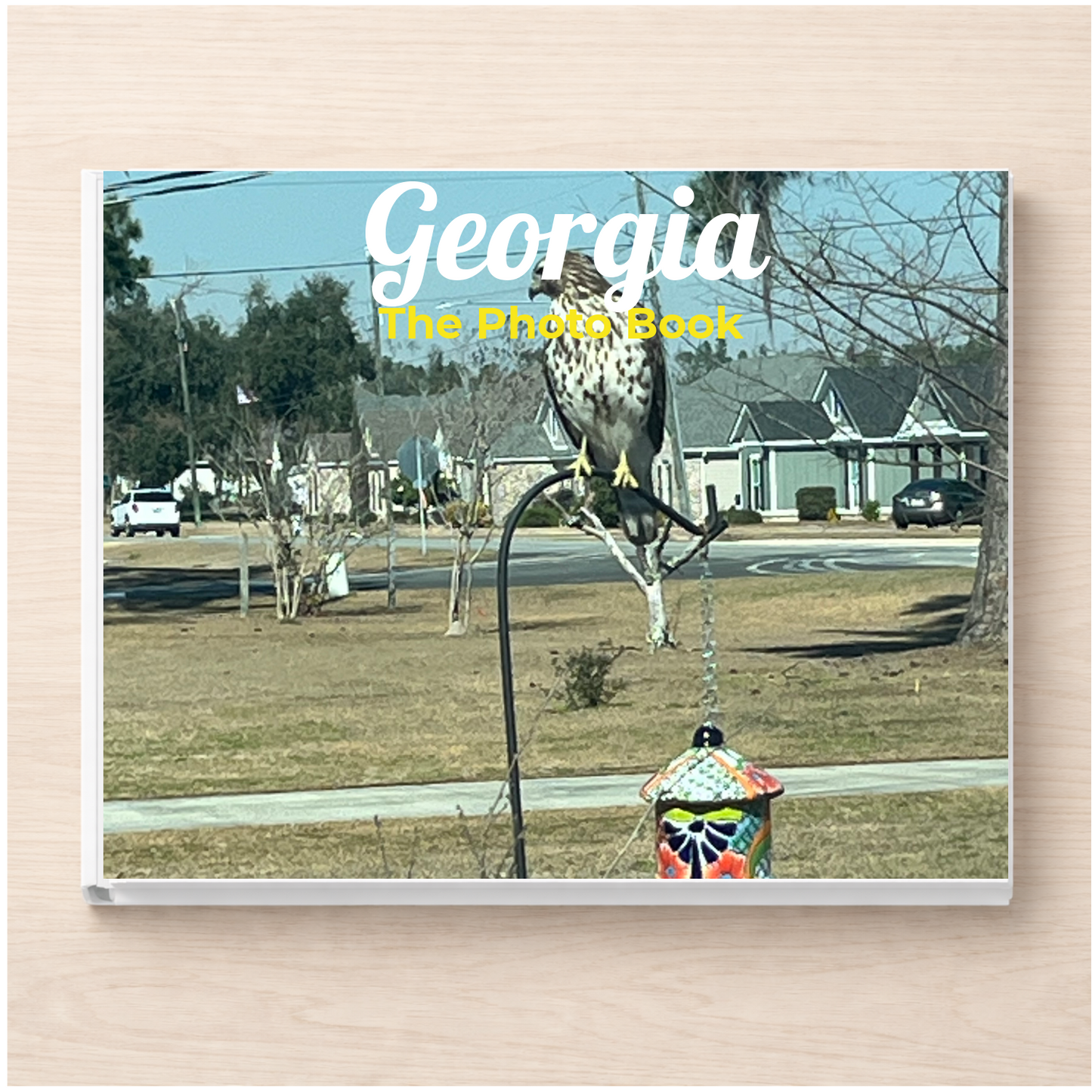 Georgia: The Photo Book