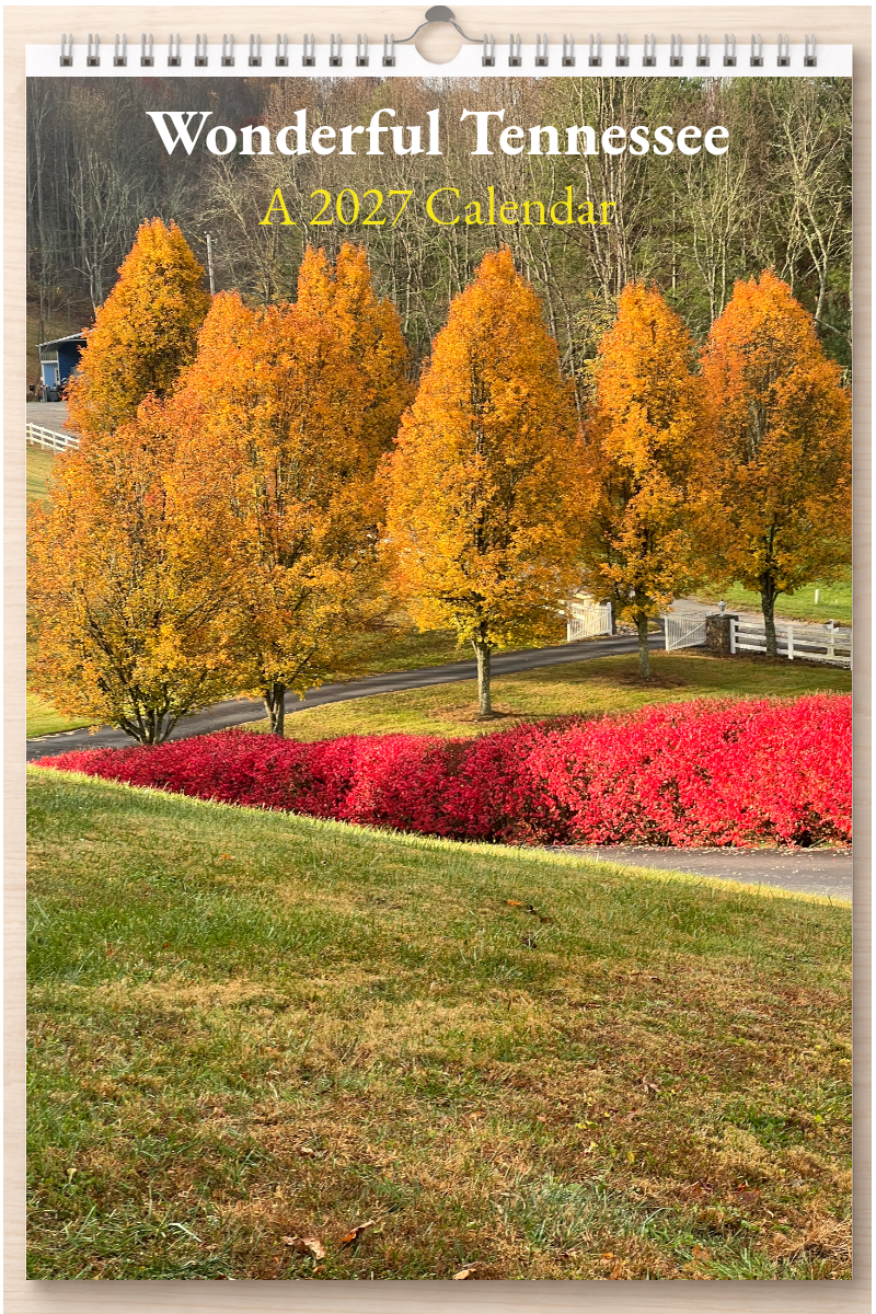 Wonderful Tennessee: A 2027 Calendar