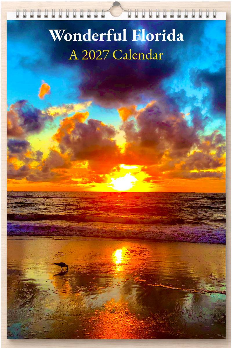 Wonderful Florida: A 2027 Calendar