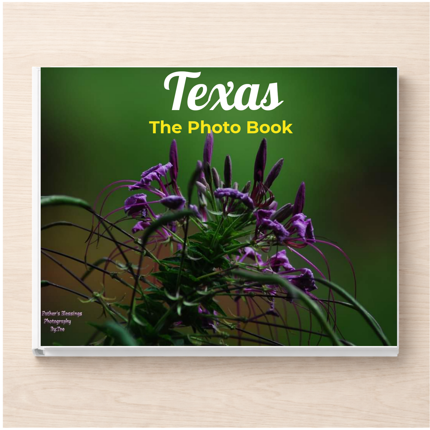 Texas: The Photo Book