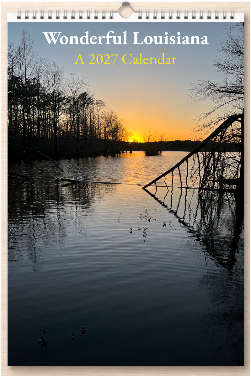 Wonderful Louisiana: A 2027 Calendar