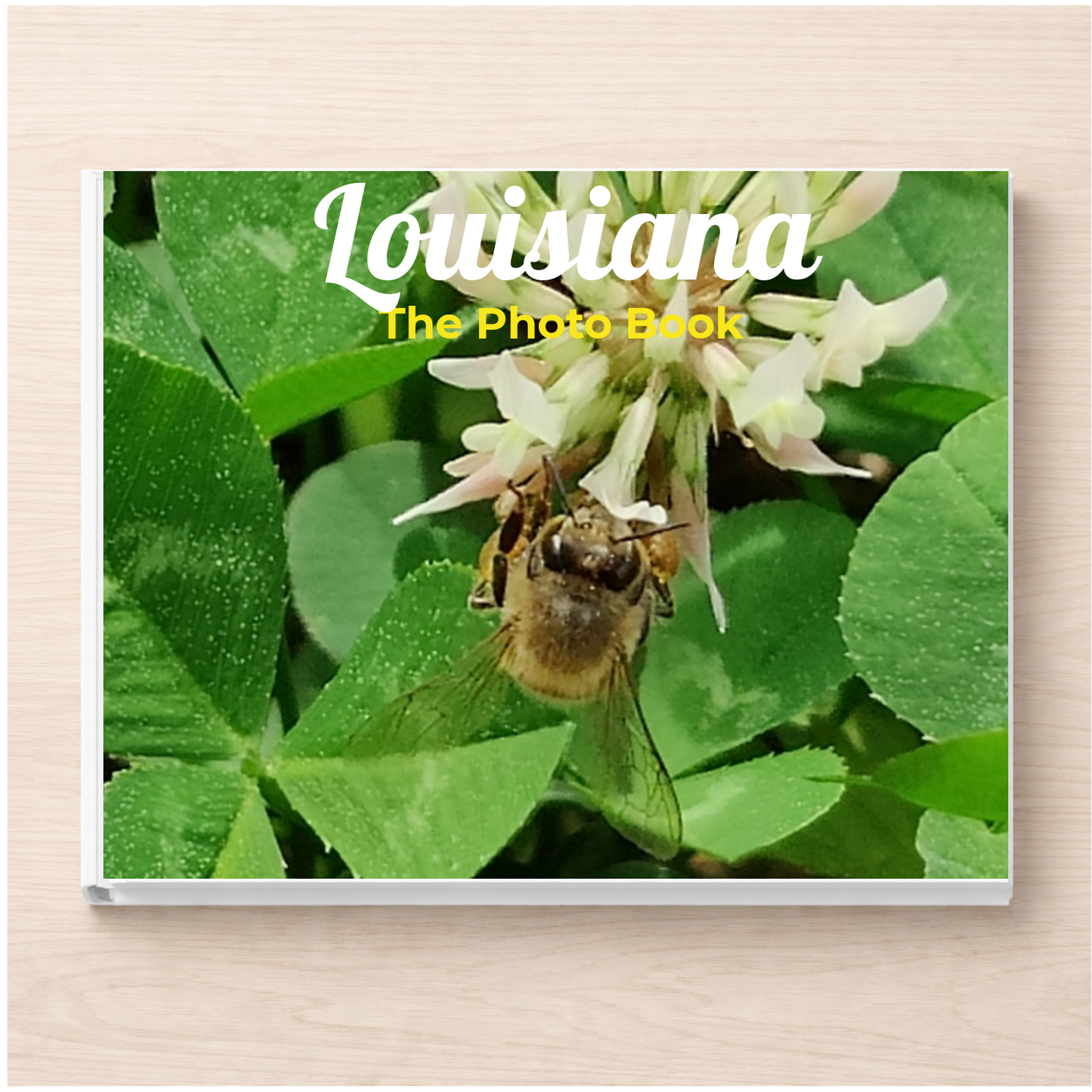 Louisiana: The Photo Book