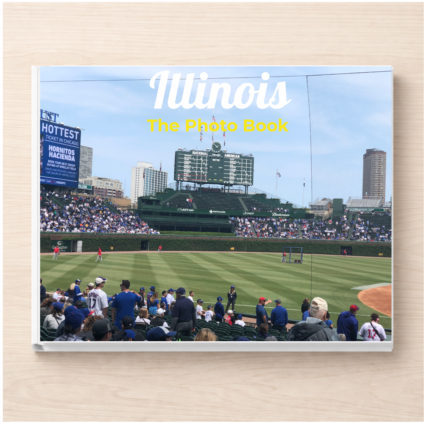 Illinois: The Photo Book