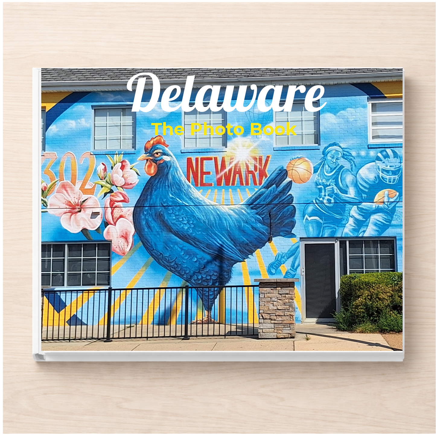 Delaware: The Photo Book