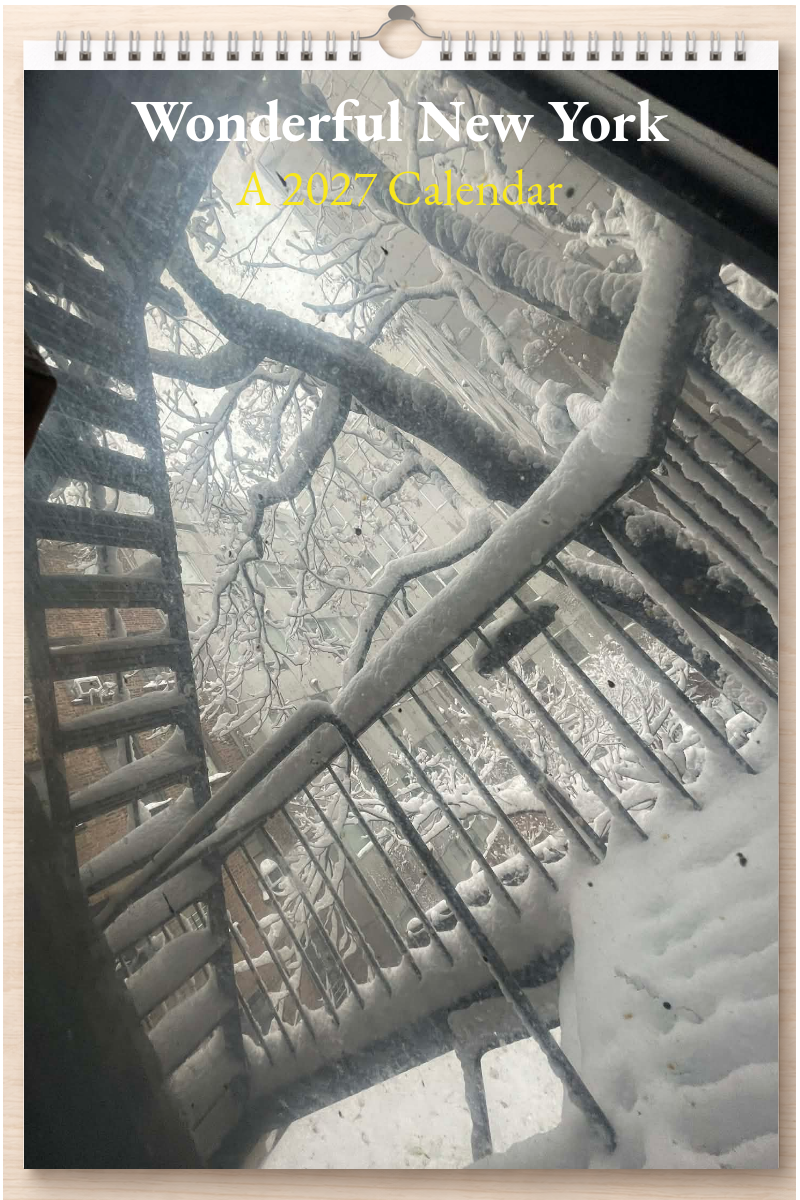 Wonderful New York: A 2027 Calendar