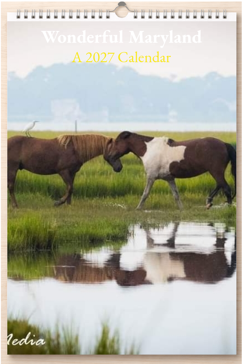 Wonderful Maryland: A 2027 Calendar