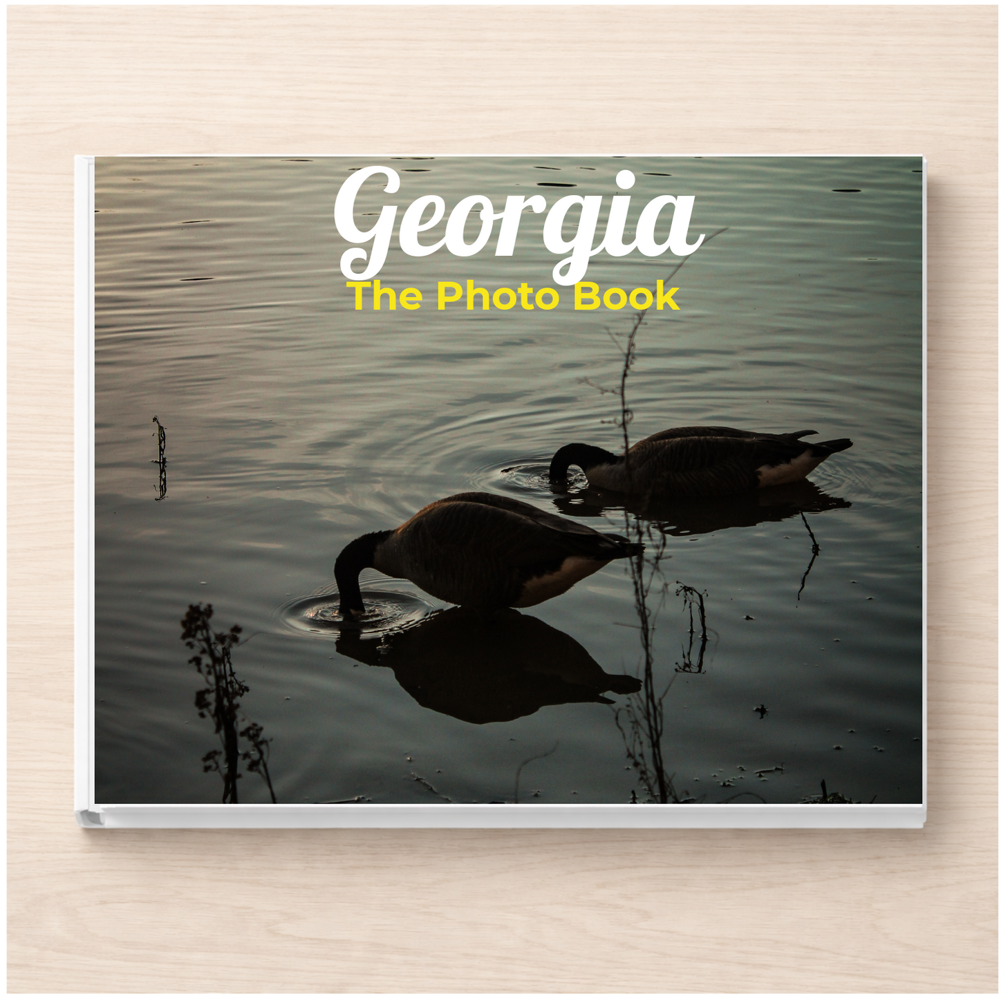 Georgia: The Photo Book
