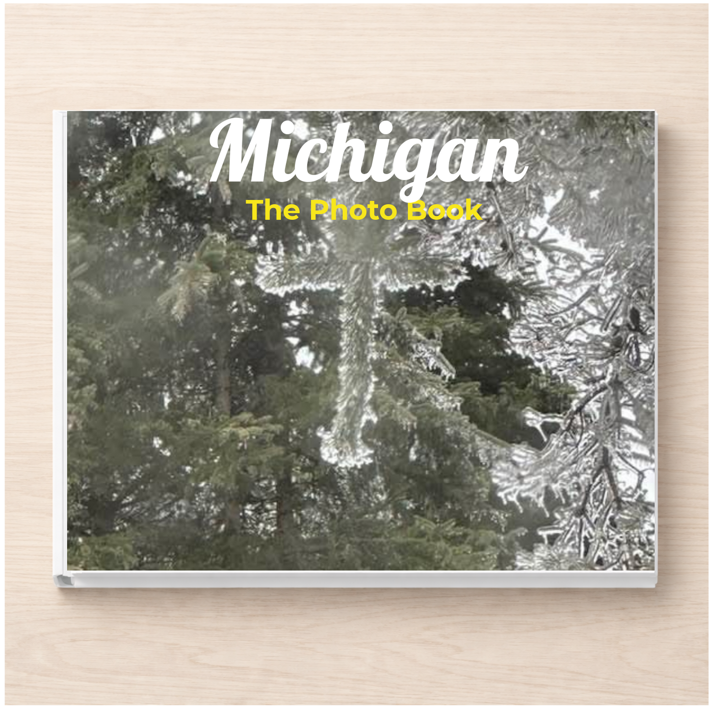Michigan: The Photo Book