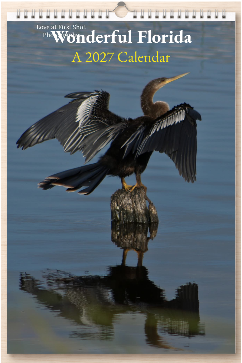Wonderful Florida: A 2027 Calendar