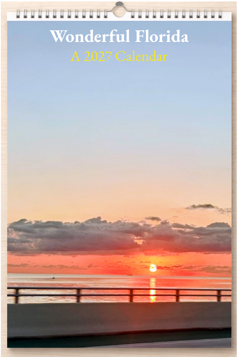 Wonderful Florida: A 2027 Calendar
