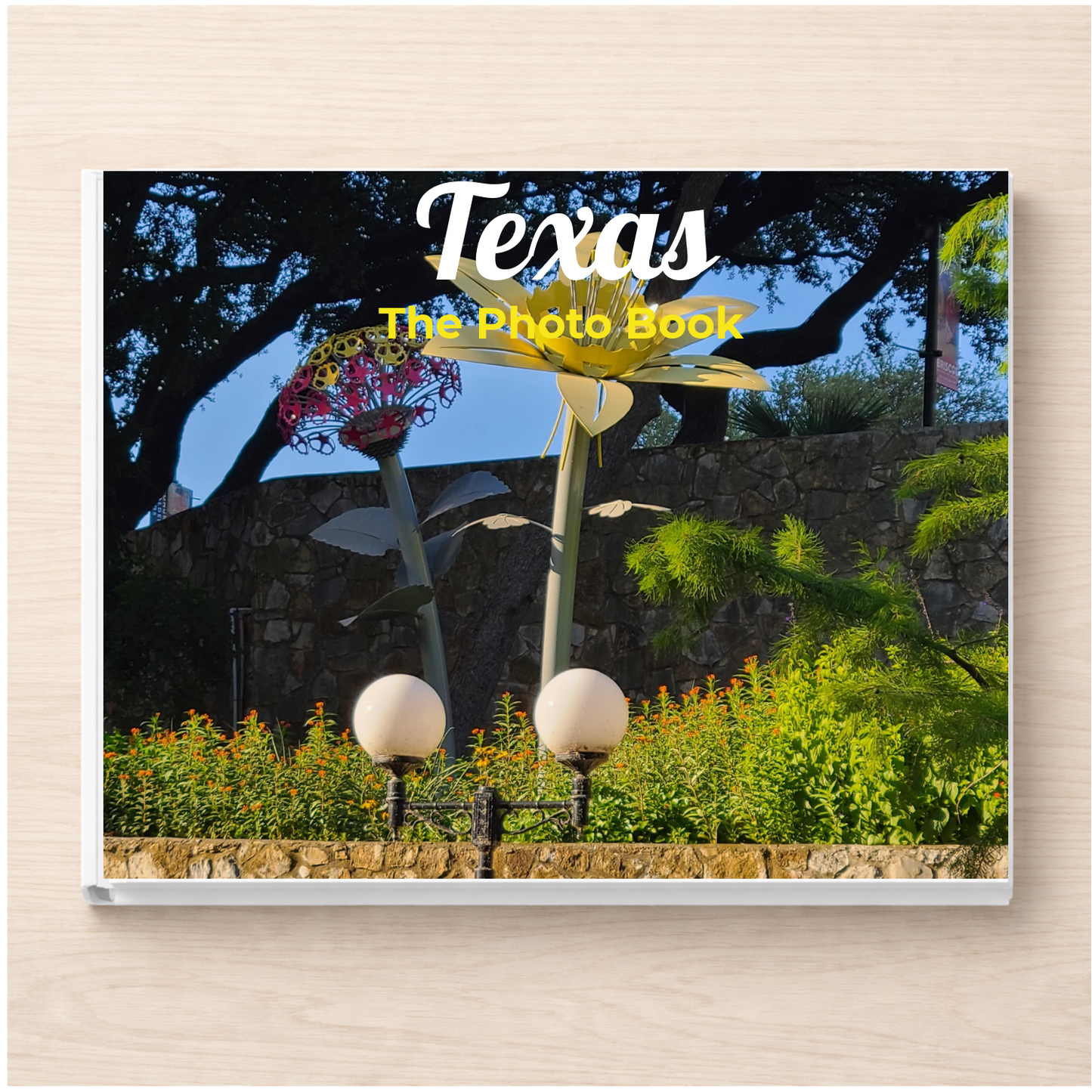 Texas: The Photo Book