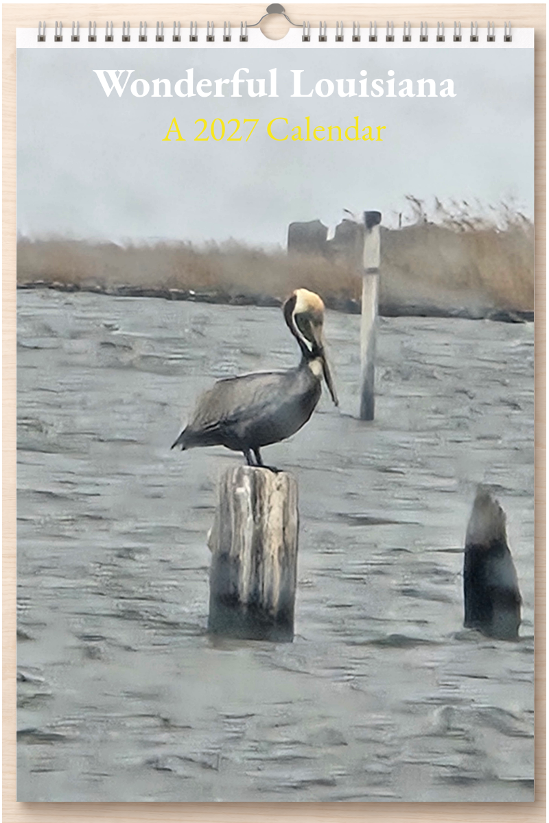 Wonderful Louisiana: A 2027 Calendar