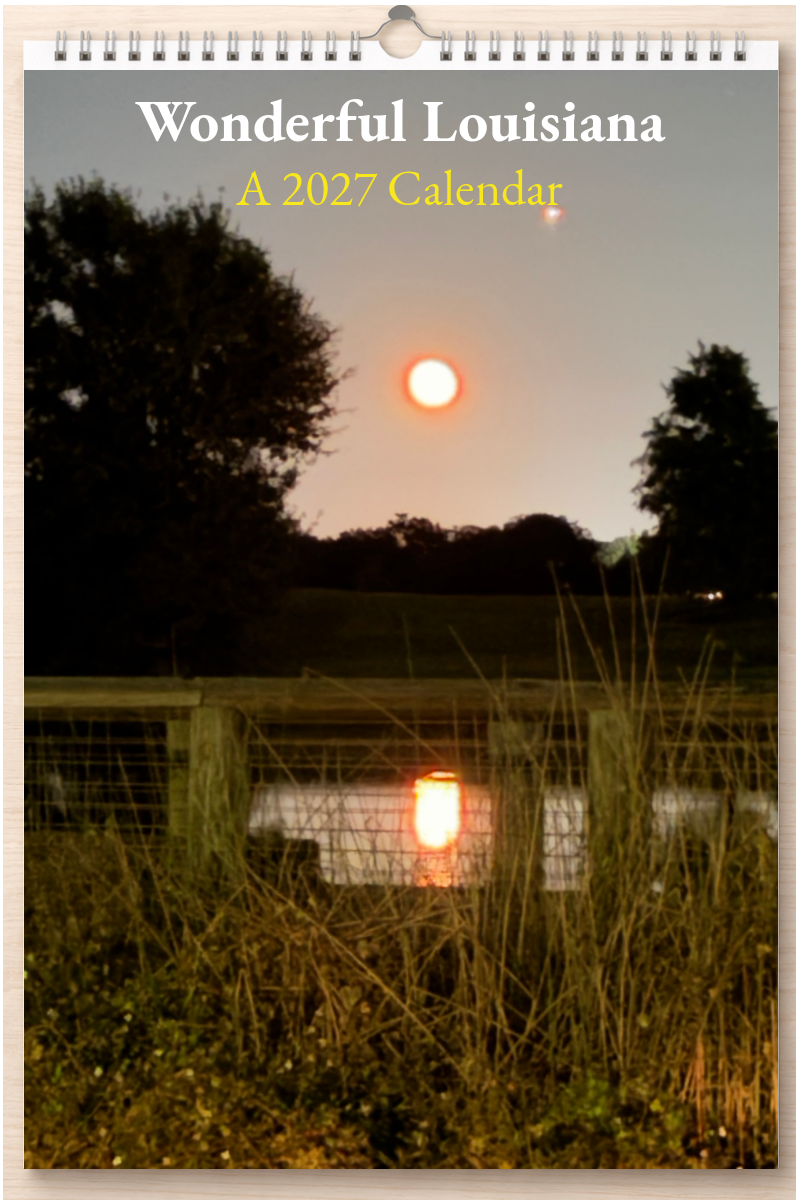 Wonderful Louisiana: A 2027 Calendar