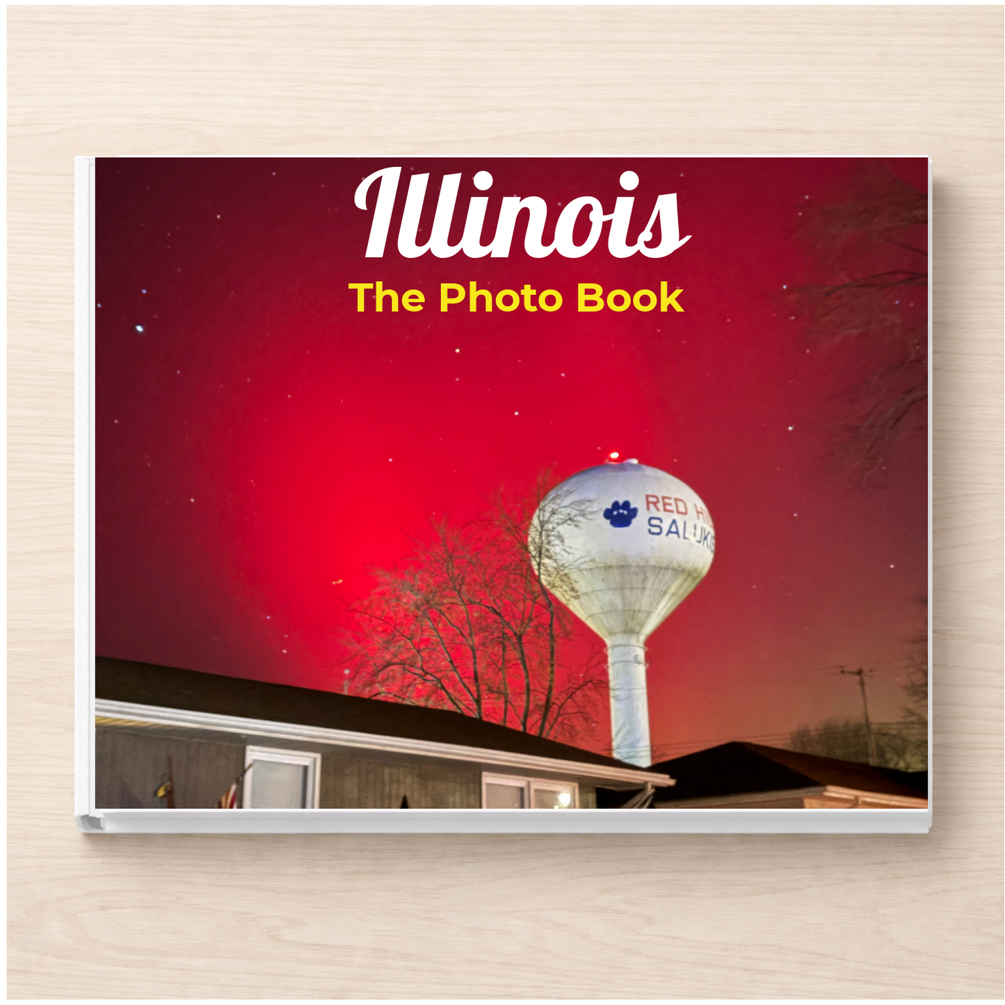 Illinois: The Photo Book